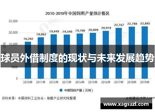 球员外借制度的现状与未来发展趋势